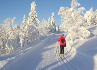 Cross-Country Skiing